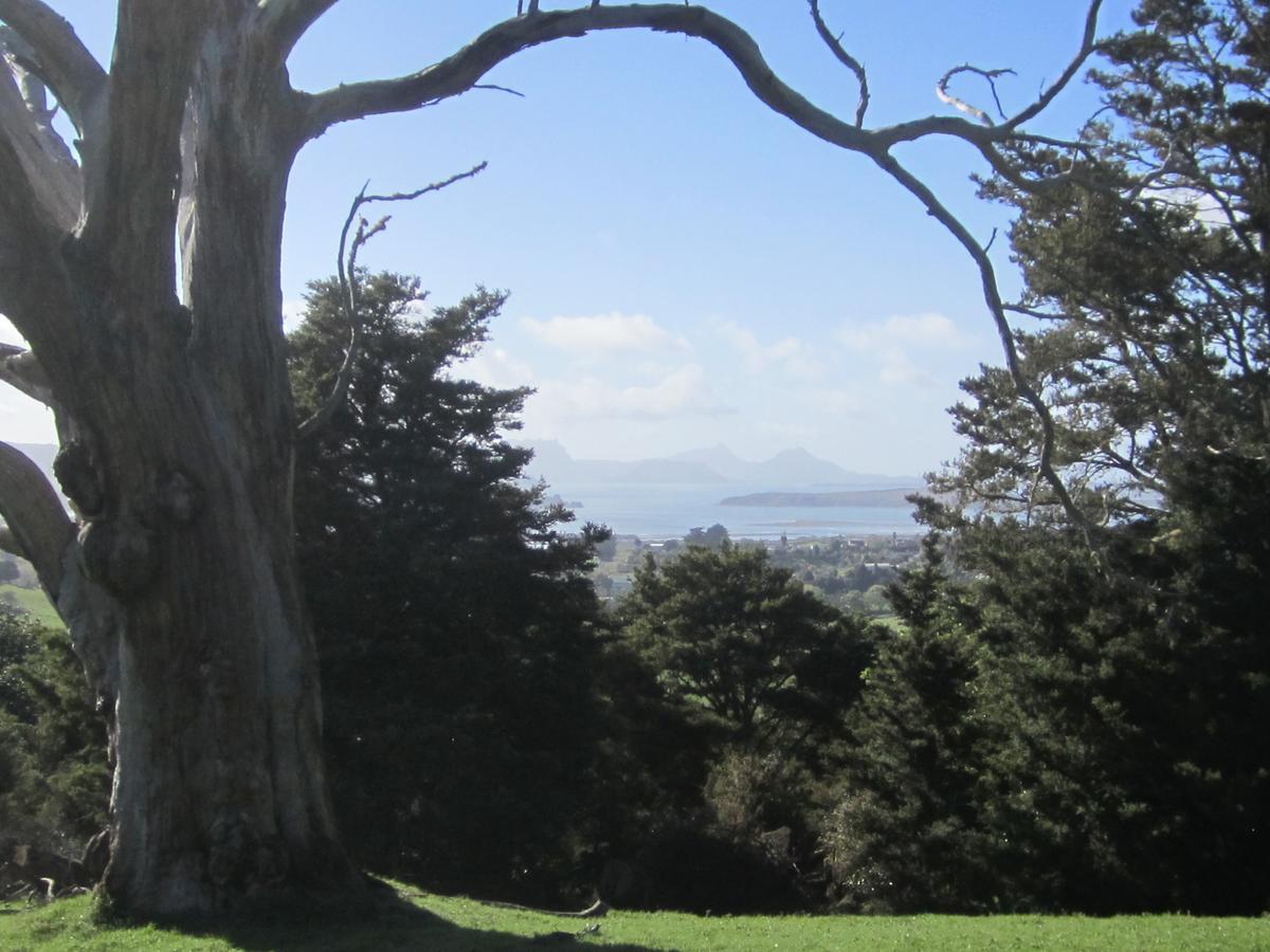 Hyecroft Lodge Whangarei Luaran gambar
